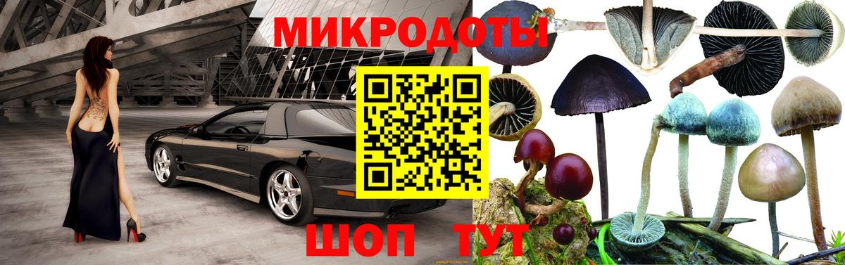 Псилоцибиновые грибы Magic Shrooms Ялта
