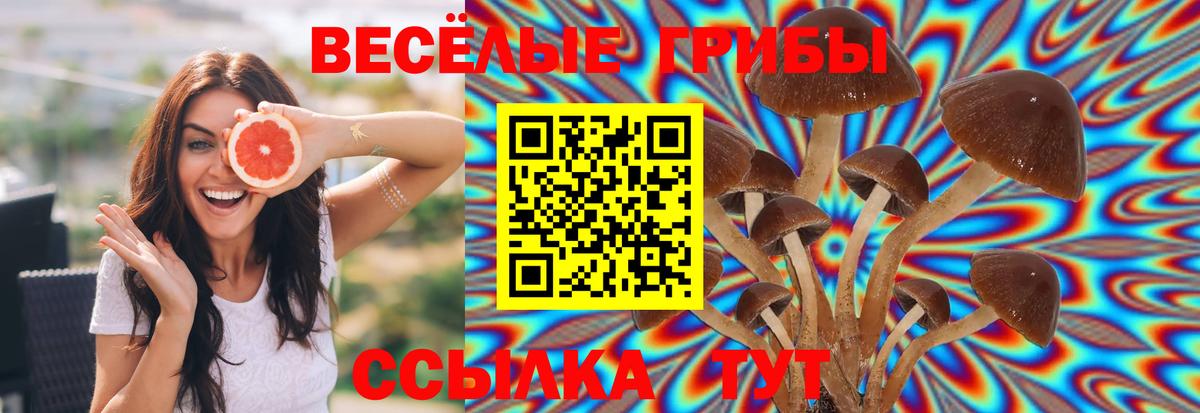 Ялта  Псилоцибиновые грибы Magic Shrooms  Вход с VPN 
